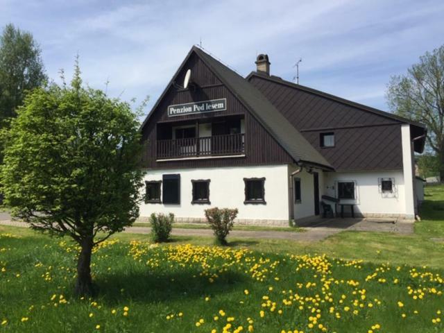 Penzion Pod Lesem Hotel Hodkovice Екстериор снимка