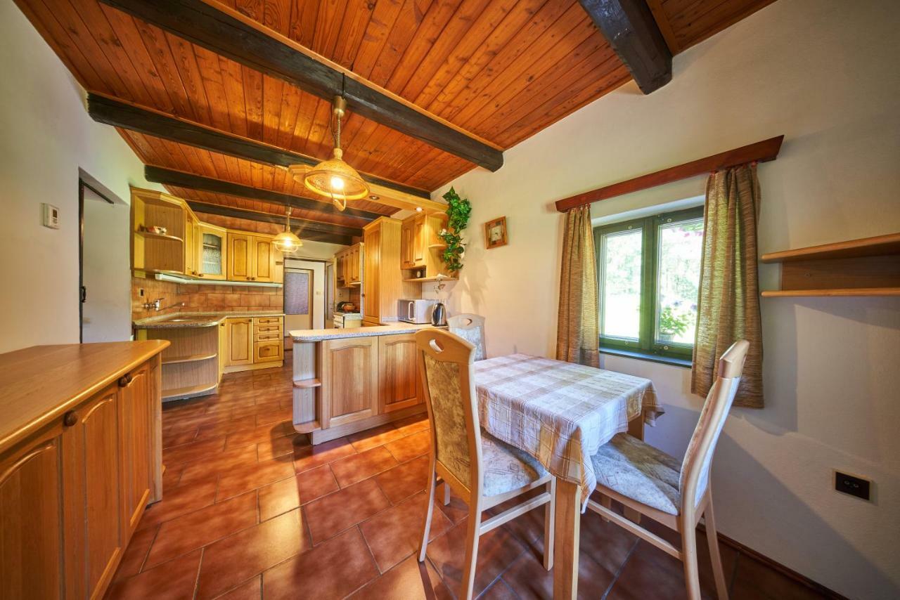 Penzion Pod Lesem Hotel Hodkovice Екстериор снимка